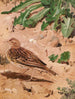 Pipit farlouse - Léon Paul Robert — näkymä teoksesta