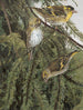 Collection - Léon Paul Robert — näkymä teoksesta