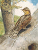 Torcol - Léon Paul Robert — näkymä teoksesta