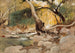Mission Canyon Santa Barbara - Lockwood de Forest — näkymä teoksesta