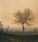 Paysage avec un arbre nu et un laboureur - Léon Bonvin — näkymä teoksesta