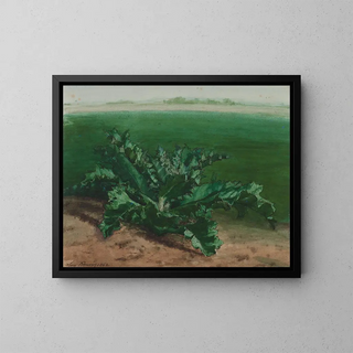 Lon Bonvin - Study of a Plant Possibly Thistle.webp