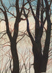 Puut lumessa - Léon Spilliaert — näkymä teoksesta