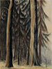 Fort de sapins - Léon Spilliaert — näkymä teoksesta