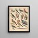 Illustrations pour l'Histoire naturelle générale d'Oken pour toutes les classes Pl122 - Lorenz Oken — kehystetty taideteos seinällä