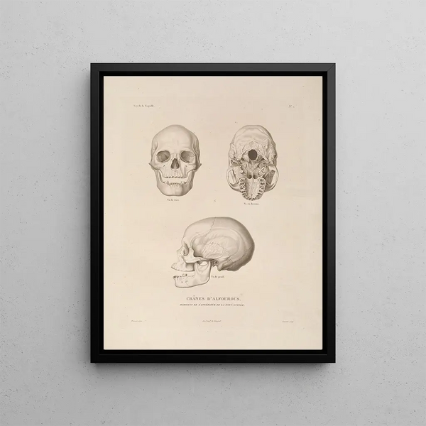 LouisIsidore Duperrey - Voyage autour du monde Pl104.webp