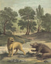 La Lionne Et L'ours The Lion And The Bear - Louis-Simon Lempereur — näkymä teoksesta