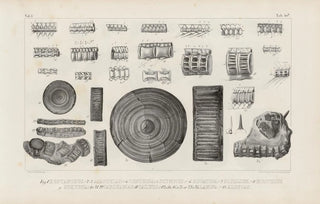Louis Agassiz - Recherches sur les poissons fossiles Pl326.webp