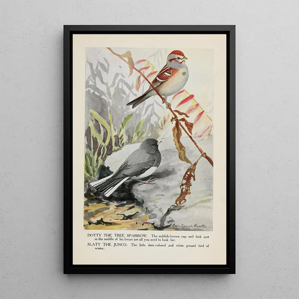 Louis Agassiz Fuertes - Dotty the Tree Sparrow Slaty the Junco.webp