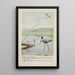 Rattles le Martin-pêcheur Teeter le Chevalier grivelé Longlegs le Grand Héron bleu - Louis Agassiz Fuertes — kehystetty taideteos seinällä