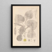 ranskalaisen kasvilajiston herbarium Pl0025 - Louis Antoine Cusin — kehystetty taideteos seinällä