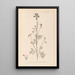 ranskalaisen kasvilajiston herbarium Pl0033 - Louis Antoine Cusin — kehystetty taideteos seinällä