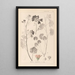 ranskalaisen kasvilajiston herbarium Pl0035 - Louis Antoine Cusin — kehystetty taideteos seinällä