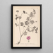 Ranskan kasvilajiston herbarium Pl0068 - Louis Antoine Cusin — kehystetty taideteos seinällä