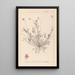 Ranskalaisen kasvilajiston herbarium Pl0091 - Louis Antoine Cusin — kehystetty taideteos seinällä