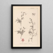 Ranskalaisen kasvilajiston herbarium Pl0093 - Louis Antoine Cusin — kehystetty taideteos seinällä