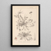 Ranskalaisen kasvilajiston herbarium Pl0094 - Louis Antoine Cusin — kehystetty taideteos seinällä