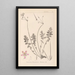 Ranskalaisen kasvilajiston herbarium Pl0095 - Louis Antoine Cusin — kehystetty taideteos seinällä