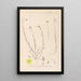 Ranskalaisen kasvilajiston herbarium Pl0105 - Louis Antoine Cusin — kehystetty taideteos seinällä