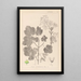 Ranskan kasvien herbarium Pl0120 - Louis Antoine Cusin — kehystetty taideteos seinällä