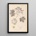 Ranskan kasvien herbarium Pl0123 - Louis Antoine Cusin — kehystetty taideteos seinällä