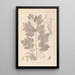 Ranskan kasvien herbarium Pl0124 - Louis Antoine Cusin — kehystetty taideteos seinällä