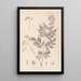 Ranskan kasvien herbarium Pl0126 - Louis Antoine Cusin — kehystetty taideteos seinällä