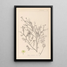 Ranskalaisen kasvilajiston herbarium Pl0138 - Louis Antoine Cusin — kehystetty taideteos seinällä