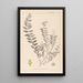 Ranskalaisen kasvilajiston herbarium Pl0140 - Louis Antoine Cusin — kehystetty taideteos seinällä