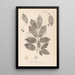 Ranskalaisen kasvilajiston herbarium Pl0142 - Louis Antoine Cusin — kehystetty taideteos seinällä