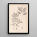 Ranskalaisen kasvilajiston herbarium Pl0144 - Louis Antoine Cusin — kehystetty taideteos seinällä