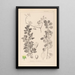 Ranskalaisen kasvilajiston herbarium Pl0154 - Louis Antoine Cusin — kehystetty taideteos seinällä