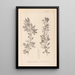 Ranskalaisen kasvilajiston herbarium Pl0155 - Louis Antoine Cusin — kehystetty taideteos seinällä