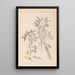 Ranskan kasvilajiston herbarium Pl0163 - Louis Antoine Cusin — kehystetty taideteos seinällä