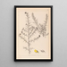 Ranskan kasvilajiston herbarium Pl0164 - Louis Antoine Cusin — kehystetty taideteos seinällä