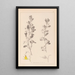 Ranskan kasvilajiston herbarium Pl0217 - Louis Antoine Cusin — kehystetty taideteos seinällä