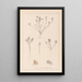 Ranskan kasvilajiston herbarium Pl0221 - Louis Antoine Cusin — kehystetty taideteos seinällä