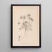 ranskalaisen kasvilajiston herbarium Pl0240 - Louis Antoine Cusin — kehystetty taideteos seinällä