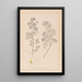 ranskalaisen kasvilajiston herbarium Pl0245 - Louis Antoine Cusin — kehystetty taideteos seinällä