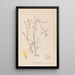 Ranskalaisen kasvilajiston herbarium Pl0305 - Louis Antoine Cusin — kehystetty taideteos seinällä