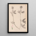 Ranskalaisen kasvilajiston herbarium Pl0326 - Louis Antoine Cusin — kehystetty taideteos seinällä