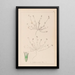 Ranskan kasvilajiston herbarium Pl0337 - Louis Antoine Cusin — kehystetty taideteos seinällä