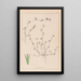 Ranskan kasvilajiston herbarium Pl0342 - Louis Antoine Cusin — kehystetty taideteos seinällä