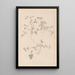 Ranskan kasvilajiston herbarium Pl0349 - Louis Antoine Cusin — kehystetty taideteos seinällä