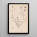 Ranskan kasvilajiston herbarium Pl0357 - Louis Antoine Cusin — kehystetty taideteos seinällä