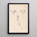 Ranskan kasvilajiston herbarium Pl0401 - Louis Antoine Cusin — kehystetty taideteos seinällä