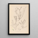 Ranskan kasvilajiston herbarium Pl0402 - Louis Antoine Cusin — kehystetty taideteos seinällä