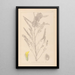 Ranskan kasvilajiston herbarium Pl0407 - Louis Antoine Cusin — kehystetty taideteos seinällä