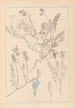 Ranskan kasvilajiston herbarium Pl0431 — näkymä teoksesta