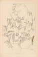 ranskalaisten kasvilajiston herbarium Pl0455 - Louis Antoine Cusin — näkymä teoksesta